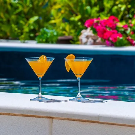 Boro 4 Дубровник